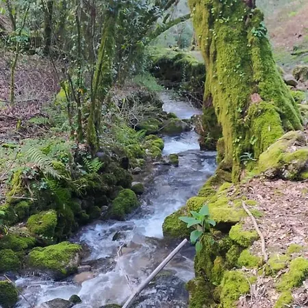Casa De Alicia Pontevedra Rias Baixas Casa Entera Vt-po-oooo32 *