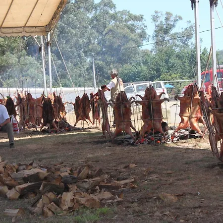Casa De Alicia Pontevedra Rias Baixas Casa Entera Vt-po-oooo32 *