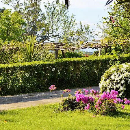 Tatil Evi Casa De Alicia Pontevedra Rias Baixas Casa Entera Vt-po-oooo32 *