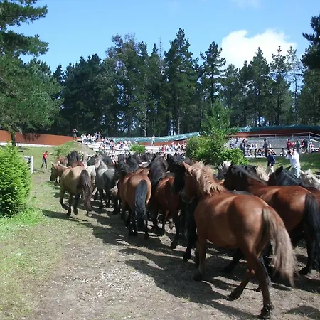 Tatil Evi Casa De Alicia Pontevedra Rias Baixas Casa Entera Vt-po-oooo32