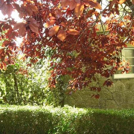 Casa De Alicia Pontevedra Rias Baixas Casa Entera Vt-po-oooo32 *