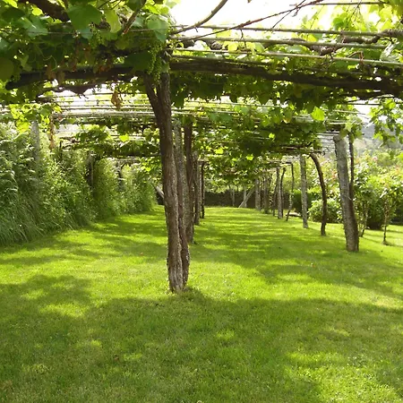 Casa De Alicia Pontevedra Rias Baixas Casa Entera Vt-po-oooo32 * Morana
